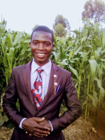 stephenwanyama.gnomio.com